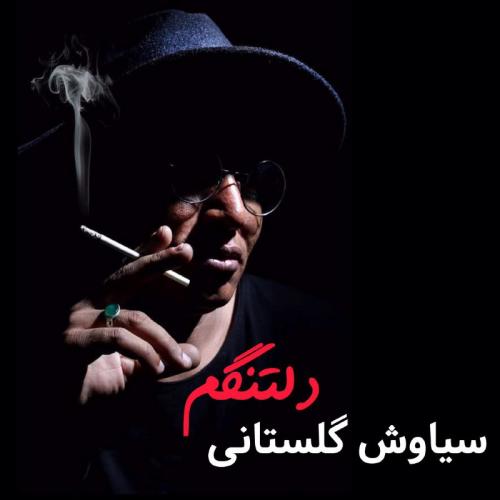 دانلود آهنگ دلتنگم سیاوش گلستانی